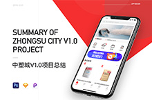 中塑城v1.0项目总结