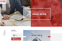 CFO网站页面