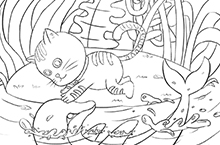 《橘猫，海豚和节气》完稿（可装饰，宣传，盲盒，闪屏，绘本）