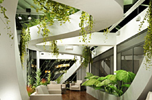 武汉酒店景观设计中景观植物的应用|水木源创设计
