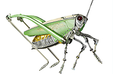 绿色机械昆虫-超写实