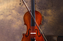 提琴案列
