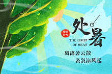 中化国际年度传播设计《二十四节气》