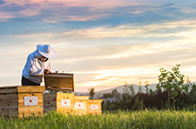 华康蜂业，蜂蜜
