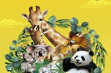 长隆动物世界海报