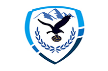 足球队徽logo