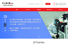 中英文网站设计制作