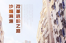 沙嘴-详情