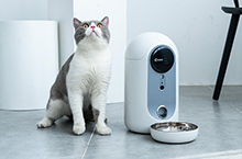 宠物产品拍摄 CCPET宠物智能喂食器自动喂食机饮水机
