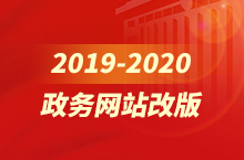 2019-2020政务网站改版