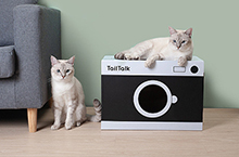 宠物产品设计&拍摄 TailTalk相机纸猫窝