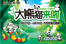 圣地新天地4月大熊猫主题展活动宣传图