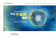 干细胞再生医学科技|企业官网|网站设计