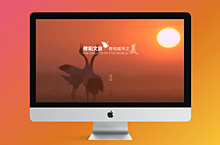 橙阳文旅两个版面，最终上线第二版