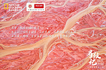 寻纹记｜携手国家地理，诺贝尔瓷砖以探索精神展现中国极致之美