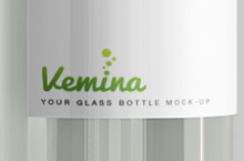 Vemina进口洗护产品logo设计