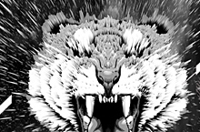 虎