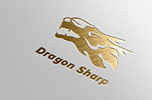 Dragon Sharp LOGO设计