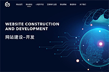 淘多京网络科技公司网页设计