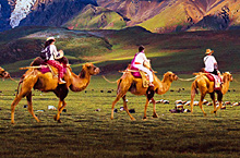 新疆旅游线路