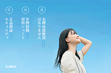 【九边行】KAWAI品牌全案升级作品分享