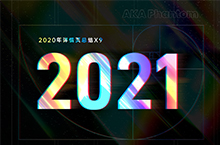 2020年详情页总结X9