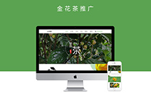 金花茶企业官网记录