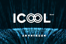 ICOOL本质品牌设计顾问互联网品牌形象设计——雨飞作品