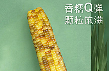 玉米主图