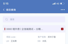 IBS-项目查询