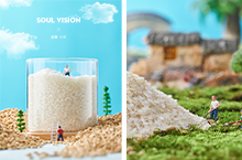 大米产品创意拍摄丨微景观丨电商产品静物摄影