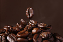 典韬摄影：咖啡豆