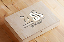 中文字体logo设计