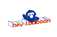 Hey baboon 服装logo设计