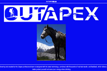 亚马逊 瑞灵品牌塑造-OUTAPEX