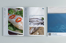海鲜画册封面➕内页设计