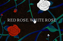 《红玫瑰，白玫瑰》电影片头设计