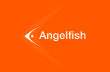 Angelfish 品牌设计
