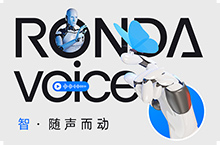 RonDa品牌Logo改版设计复盘