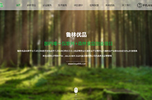 网页设计-林业