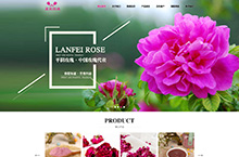网页设计-蓝妃玫瑰