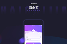 電商平臺(tái)APP