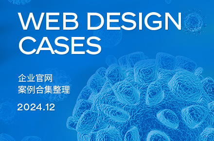 12月网站案例合集