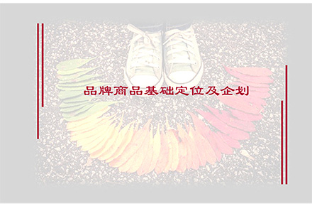 法国高端童装lamuse品牌定位企划案