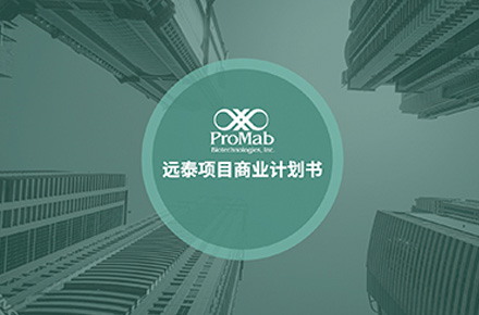 医药行业商业策划书