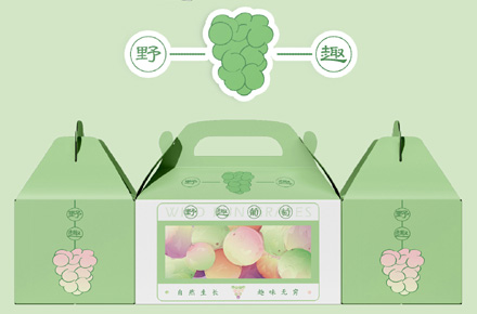 轻奢葡萄礼盒设计—为传统增添一丝趣味