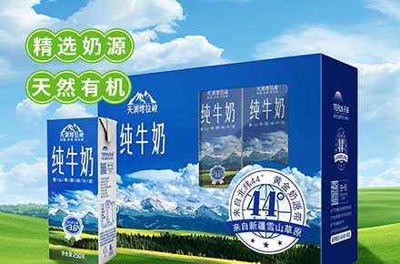 海报