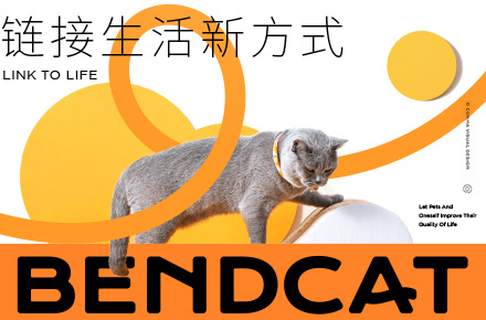BendCat | 宠物品牌全案设计