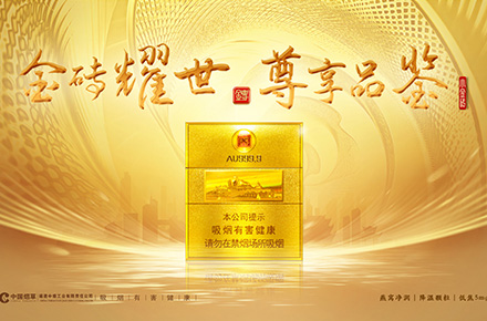 小金砖主视觉