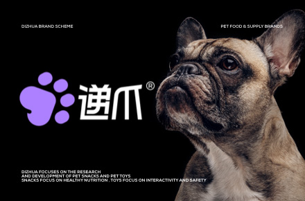 递爪-宠物品牌设计